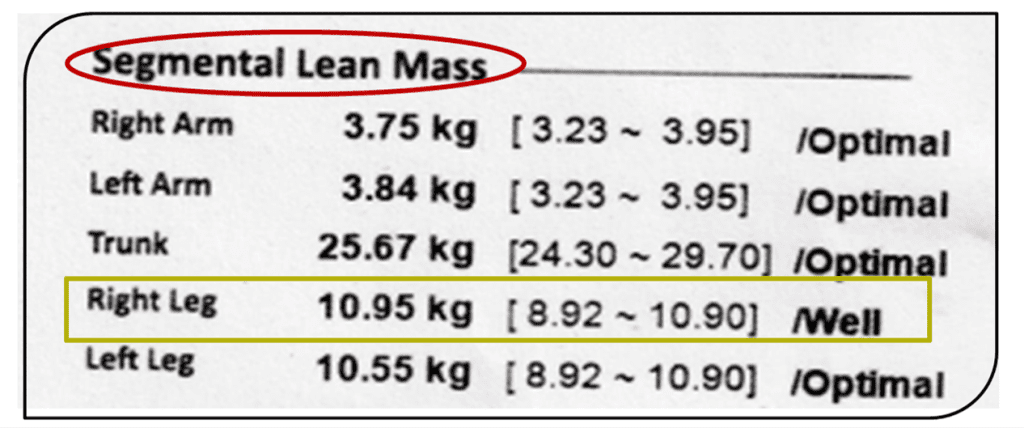 Segmental Lean Mass