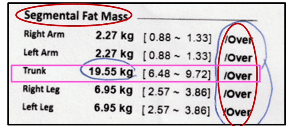 Segmental Fat Mass