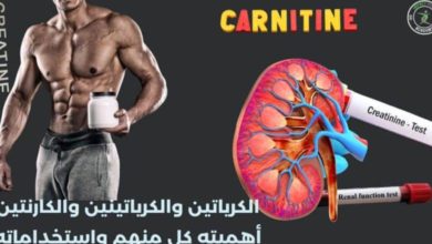 الكرياتين والكرياتينين والكارنتين أهميته كل منهم واستخداماته