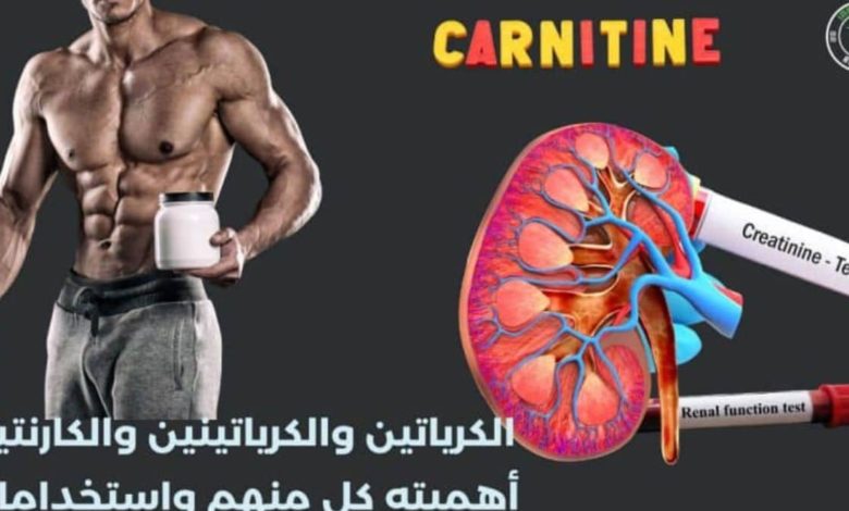 الكرياتين والكرياتينين والكارنتين أهميته كل منهم واستخداماته