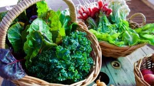 الخضراوات ذات الأوراق الخضراء الداكنة لتطهير القناة الهضمية  و مما يساعد في علاج في متلازمة الألم العضلي الليفي