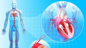 البريبيوتيك تساعد في تقليل مخاطر الإصابة بأمراض القلب والأوعية الدموية و تقليل الحساسية والالتهابات في الجسم مع تعزيز المناعة